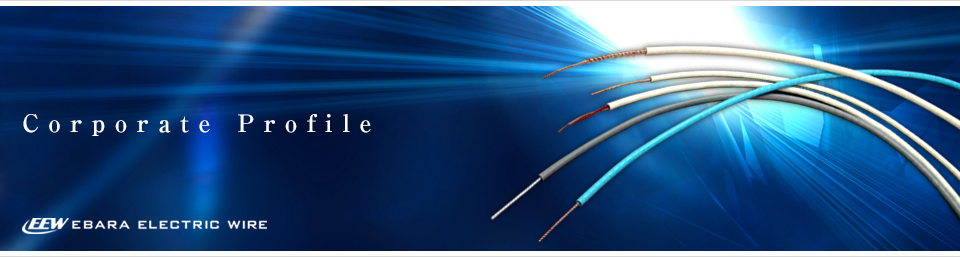 地域の皆さまの皮膚疾患のお悩みに答えます。